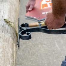 PLG Maibaum 2016