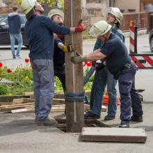 PLG Maibaum 2016