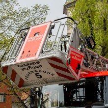 PLG Maibaum 2016