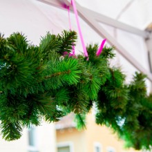 Markttag zum Advent 2015