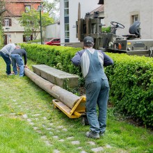 PLG Maibaum 2016