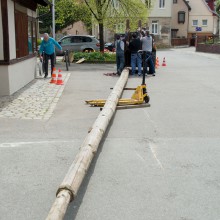 PLG Maibaum 2016
