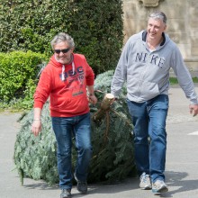 PLG Maibaum 2016