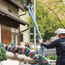 PLG Maibaum 2016