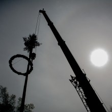 PLG Maibaum 2016