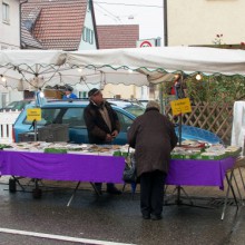 Markttag zum Advent 2015