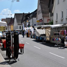 Plieningen und Birkach erleben 2015