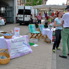 Plieningen und Birkach erleben 2015