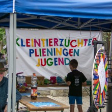 PLG Sommerfest 2017