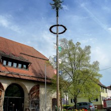 PLG Maibaum 2016