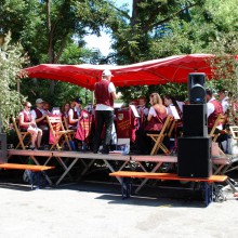 Plieninger Dorfest 2015