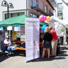 Plieninger Dorfest 2015