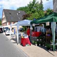 Plieningen und Birkach erleben 2015