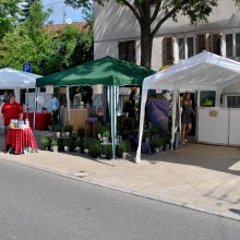 Plieningen und Birkach erleben 2015