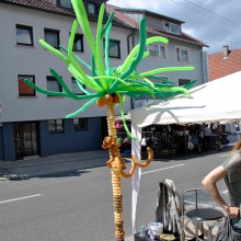 Plieningen und Birkach erleben 2015