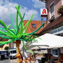 Plieningen und Birkach erleben 2015