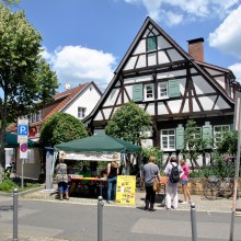 Plieningen und Birkach erleben 2015