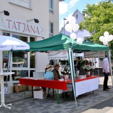 Plieningen und Birkach erleben 2015