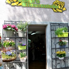 Plieningen und Birkach erleben 2015