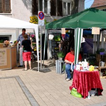 Plieningen und Birkach erleben 2015