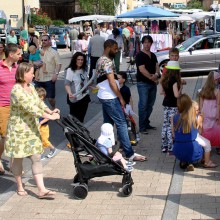 Plieningen und Birkach erleben 2015