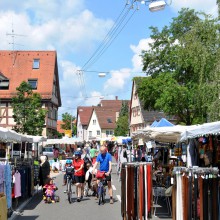Plieningen und Birkach erleben 2015