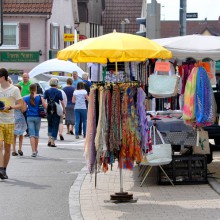 Plieningen und Birkach erleben 2015