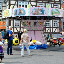 Plieningen und Birkach erleben 2015