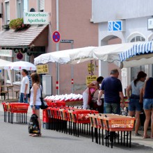 Plieningen und Birkach erleben 2015