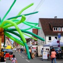 Plieningen und Birkach erleben 2015