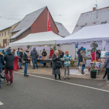 Markttag zum Advent 2017