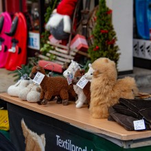 Markttag zum Advent 2018