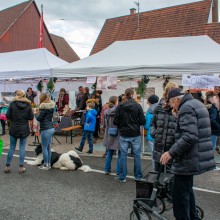Markttag zum Advent 2018