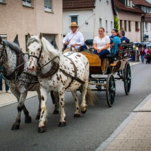 Plieningen Sommerfest 2018