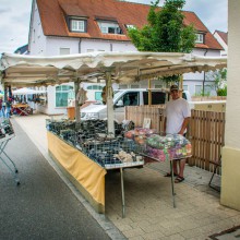 Plieningen Sommerfest 2018