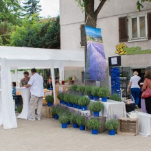 PLG Sommerfest 2017