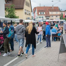 PLG Sommerfest 2017