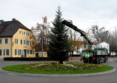 Weihnachtsbaum